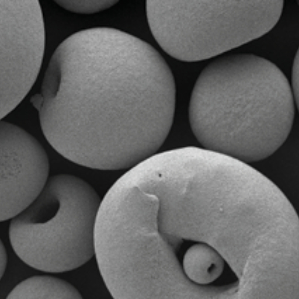 SNE-ALPHA Tarama Elektron Mikroskopu - Görünüm 3